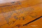 eagle drawing on log table