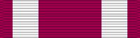 Meritorious Service Metal 2008